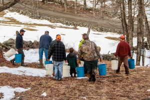 friends and neighbors collecting